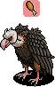 Black Vulture