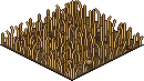Savannah Patch
