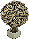 Office Plant