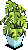 Relaxation Plant