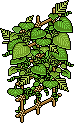 Tiki Wallplant