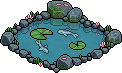 Koi Fish Pond