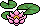 Floating water Lilies