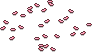 Sakura Petals