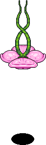 Hanging Love Flower