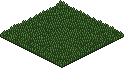 Grass Patch