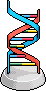 DNA model