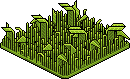 Grass Patch