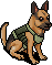 Hector the German Shepherd