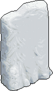 Triceratops Fossil
