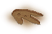 Three-toed Dino Footprint