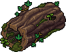 Mossy Log