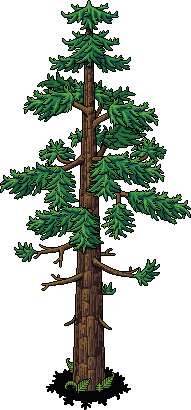 Ginkgos Tree