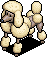 Cute Poodle