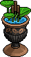 Copper Water Lily Pot