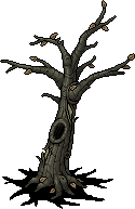 Skeletal Oak