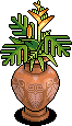 Ochre Bird of Paradise