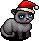 Grouchy Cat