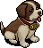 Stevie the St. Bernard