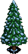 Bushy Pine Tree