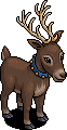 Finnish Forest Reindeer