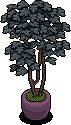 Pewter House Plant