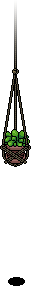 Hanging Herbs