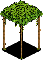 Leafy Roof