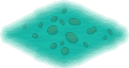 Tropical Pond