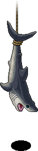 Great White Shark
