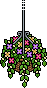Garden Hanging Flowers