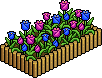 Garden Flower Bed