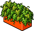 Habburgers Plant Divider