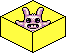 test_ltd name