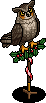 Wise Owl