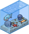 Piranha Tank