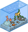 Pufferfish Tank