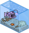 Anglerfish Tank
