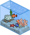 Tropical Fish Tank