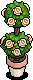 Potted Rosebush