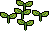 Plant Saplings