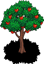 Apple Tree