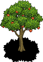 Peach Tree