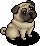 Perky Pug