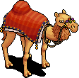 Alice the Camel