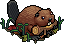 Beaver