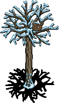 Snowy Tree