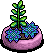 Blue Succulent Plant