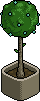 Library Plant