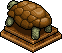 Tan Tortoise